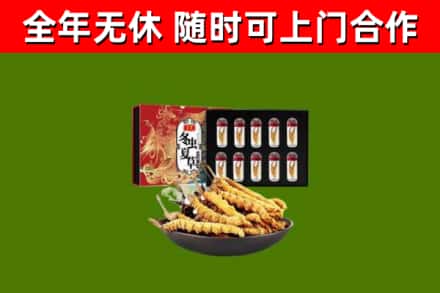 澎湖县烟酒回收冬虫夏草礼盒.jpg