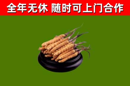 澎湖县烟酒回收冬虫夏草.jpg